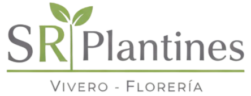 Logo Plantines